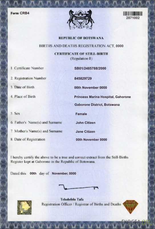 Modèle d'acte de naissance du Botswana au format PSD